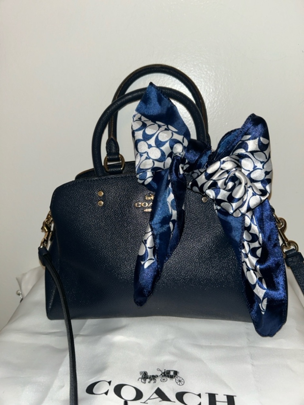 Coach Lillie Carryall bag.  Authentic Coach Silk Scarf added.